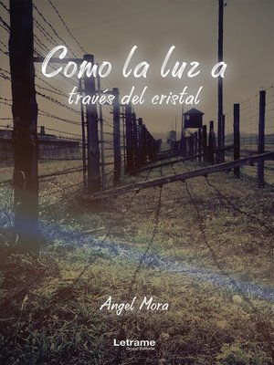 cover image of Como la luz a través del cristal